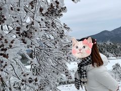-江南天池