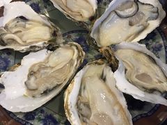 -冯姐生蚝(长隆横琴店)
