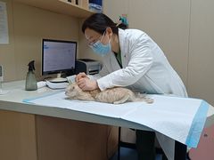 -瑞鹏宠物医院·爱宠堂·骨外专科(西荷分院)