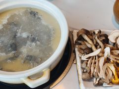 -蘑统田下·野生菌火锅