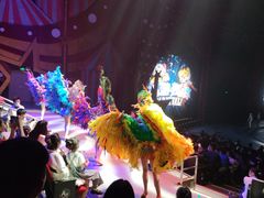 -珠海横琴长隆《卡卡虎奇遇记》