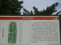 -玲珑塔公园