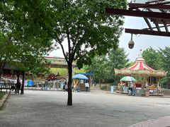 -大望京公园