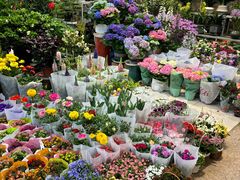 -双季花艺园艺市场(浦东店)