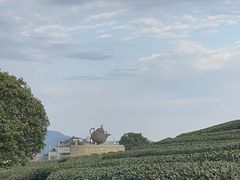 -龙坞茶村