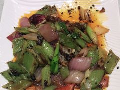 传统回锅肉-蜀竹情酒楼(北营房店)