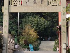 -十八棵（老龙井）御茶园(老龙井店)