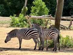 -杭州野生动物世界