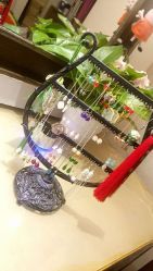 -盘子女人坊生日照·摄影馆(华强店)