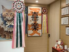 -猫十亿·布偶金渐层·曼基康矮脚猫舍(青年路店)