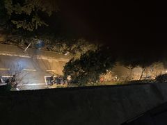 -武汉大学-樱园