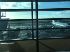 -西沃古尔·拉姆古兰爵士国际机场