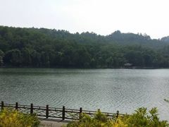 -火炉山森林公园