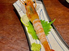 牡丹虾-加奈日本料理