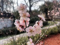 -太子山公园(园东路)
