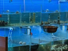 -山海蟹庐·海鲜糟粕醋火锅(慈溪店)