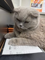 -蚂蚁造型俱乐部