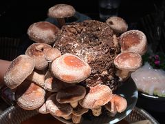 -捞王锅物料理(金华义乌之心店)