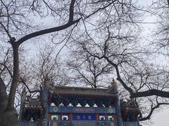-北京国子监胡同