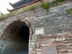 -王阿姨文昌油赞子(府桥街店)