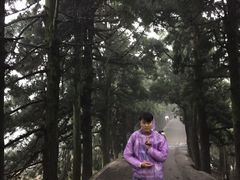 -南岳衡山风景名胜区