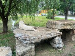 -上海野生动物园