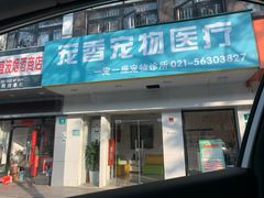 -守诺宠物医院·眼科· 特色牙科·异宠专科(虹口店)