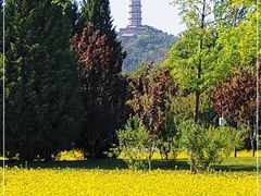 -北坞公园