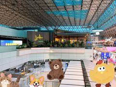 -升恒昌免税商店(桃园国际机场店)