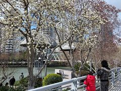 -西湖文化广场