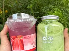 -森茶(湛江万达店)