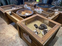 -酷嗒动物文化乐园(cutezoo西溪乐天城店)