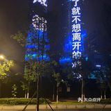 双子塔下的青葱岁月