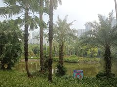 -广州珠江公园