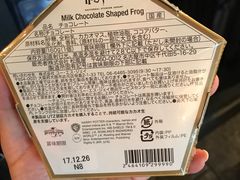 -哈利波特魔法世界