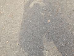 -青龙山国家森林公园