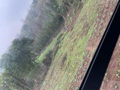 -美心红酒小镇游乐园