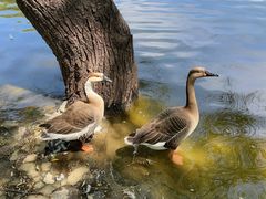 -石家庄市动物园