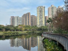 -四海公园(南山区)