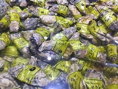 -聚盛源蒸汽海鲜火锅烤肉自助(巨川金海岸购物广场店)