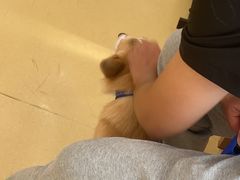 -芭比堂动物医院·犬猫全科·异宠专科(雁塔分院)