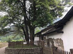 -井冈山风景名胜区
