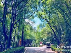 -石燕湖生态旅游景区