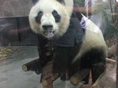 -金紫薇酒店(成都春熙路步行街店)