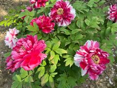 -江南大学(蠡湖校区)