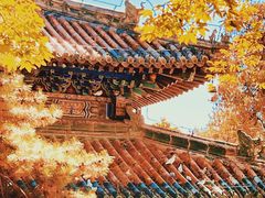 -潭柘寺景区