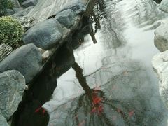 android_upload_pic-中国唐苑