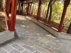 -南汇桃花村