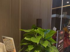-鹿栖.精油SPA(金山世纪城店)