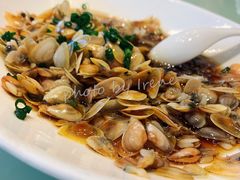 葱油海瓜子-骏莱海鲜鱼港(五角场店)